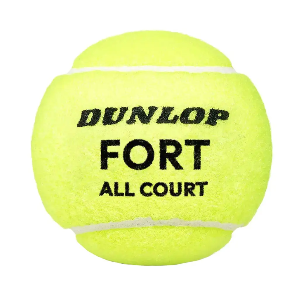 dunlop fort tb.webp