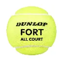 dunlop fort tb.webp