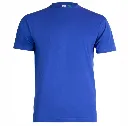 GR31 Eco T Shirt Royal.webp