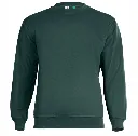 GR21 Eco Sweatshirt Bottle Green.webp