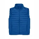 BA516 B&C Eco Bodywarmer Royal.webp