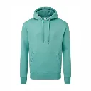 AM001 Men's Anthem Hoodie Teal.webp