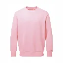 AM020 Anthem Sweatshirt Pink.webp
