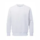 AM020 Anthem Sweatshirt White.webp