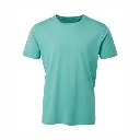 AM010 Anthem T Shirt Teal.webp