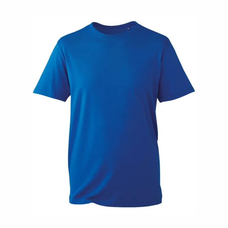 AM010 Anthem T Shirt Royal.webp