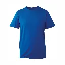 AM010 Anthem T Shirt Royal.webp