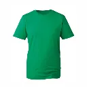 AM010 Anthem T Shirt Kelly Green.webp