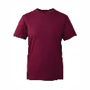 AM010 Anthem T Shirt Burgundy.webp