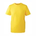 AM010 Anthem T Shirt Yellow.webp