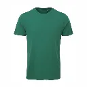 AM010 Anthem T Shirt Pine Green.webp
