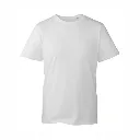 AM010 Anthem T Shirt White.webp