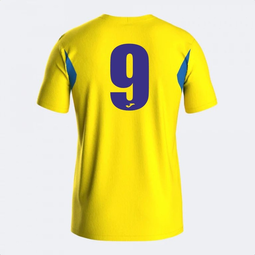 Selsey Youth FC Away Shirt