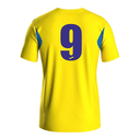 Selsey Youth FC Away Shirt.png
