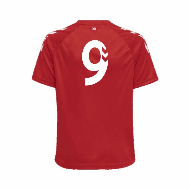 Barnham Trojans HMLCore XK Home Shirt