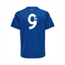 Barnham Trojans HMLCore XK Home Shirt