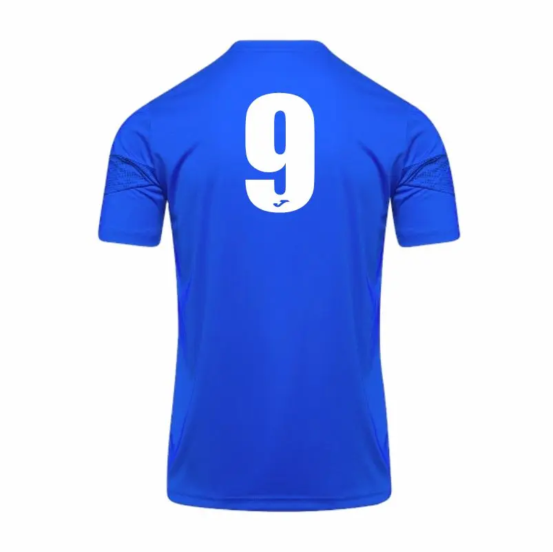 FCFC Away Shirt Back.webp