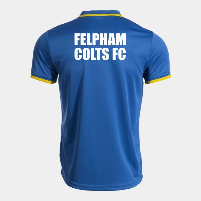 Felpham Coaches Polo Back.webp