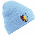 Newtown Sky Beanie.webp