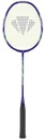 Carlton BR Tru-Storm FS 1000