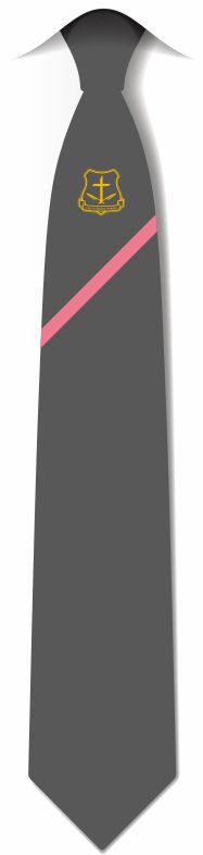 NEW SPH Tie (SPH Bernadette House - Pink)