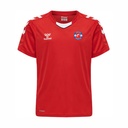 Barnham Trojans HMLCore XK Home Shirt