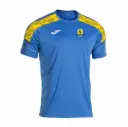 Felpham Colts Away/Training Shirt