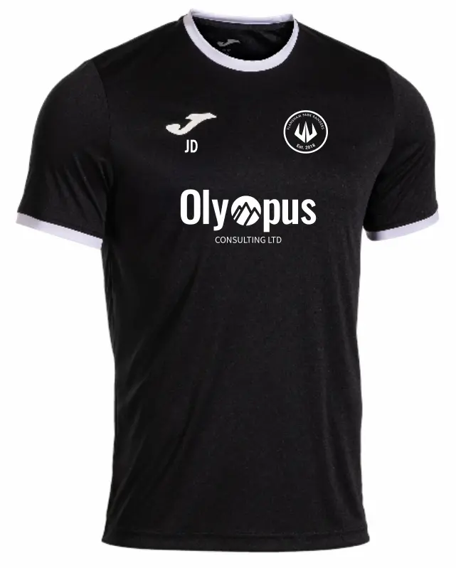 Flansham Park Rangers Training Shirt