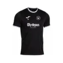 Flansham Park Rangers Training Shirt
