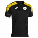 Chichester City FC Championship VIII T Shirt