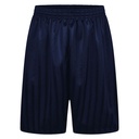 Navy PE Shorts