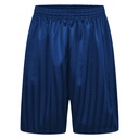 Royal Blue PE Shorts