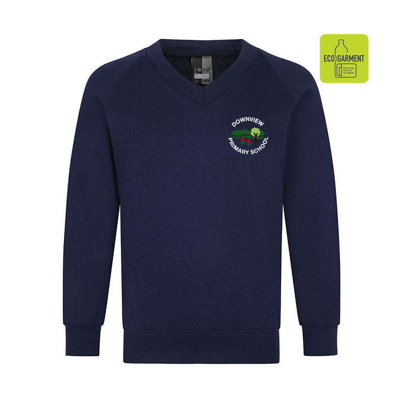 Downview Primary V-Neck Sweatshirt