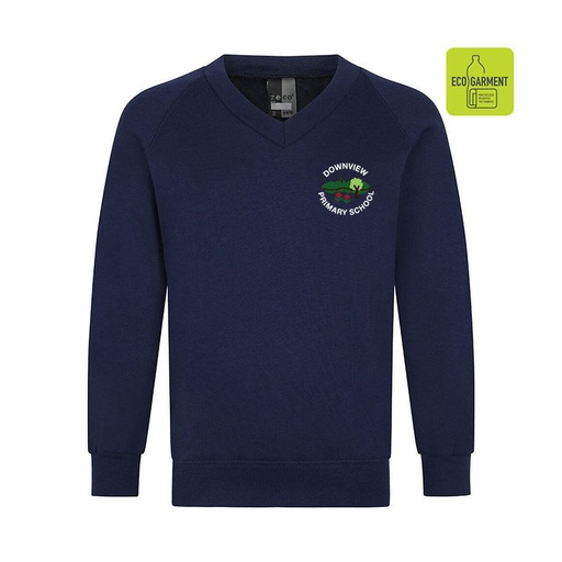 Downview Primary V-Neck Sweatshirt