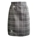 TRS Skirt