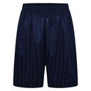 Navy PE Shorts