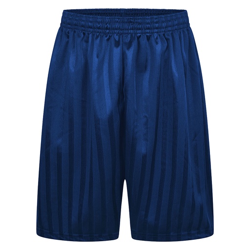 Royal Blue PE Shorts