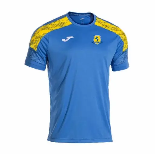 Felpham Colts Away/Training Shirt 