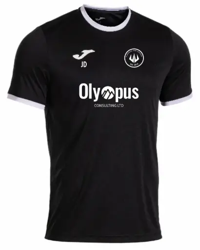 Flansham Park Rangers Training Shirt