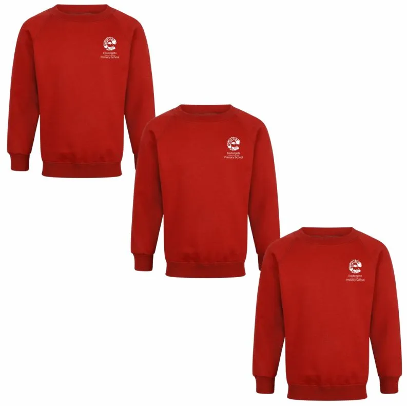Eastergate CE Primary School Sweatshirts Bundle